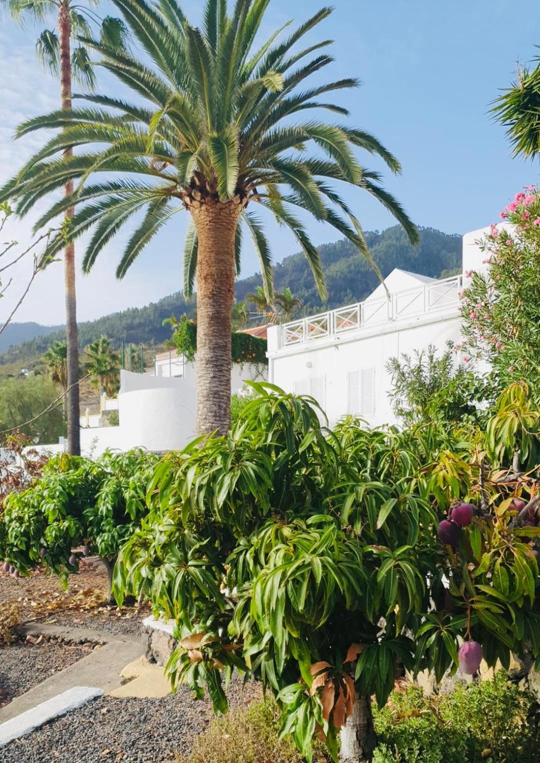 Вілла Rural Jardines La Quinta Ель-Пасо Екстер'єр фото